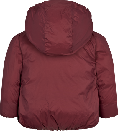 Omari deep ruby jacket by Marmar