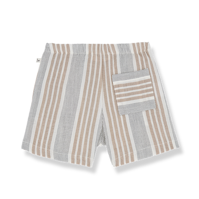 Antonio petroleum shorts by 1 + In The Family