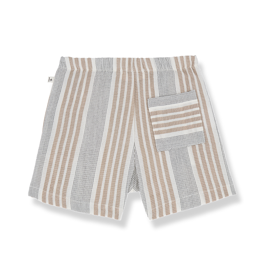 Antonio petroleum shorts by 1 + In The Family