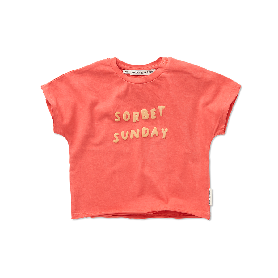 Sorbet sunday t-shirt by Sproet & Sprout