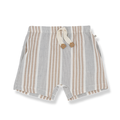 Antonio petroleum shorts by 1 + In The Family